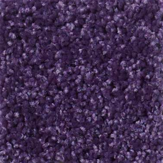 Shaw Floors Kid Crossing Grape Jelly SHAW