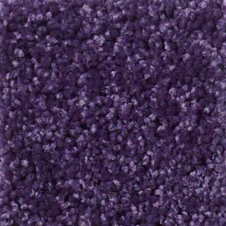 Shaw Floors All Star Weekend I 12' Grape Slushy SHAW