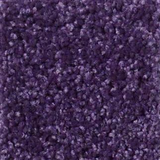 Shaw Floors Full Court 12 Grape Slushy SHAW