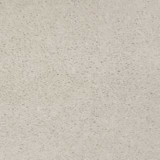 Aladdin Carpet Accelerator Plus Vapor MISSING