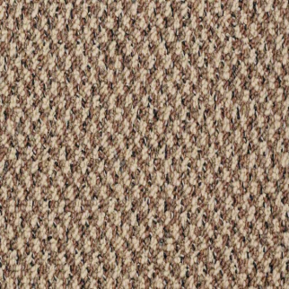 Philadelphia Commercial New Basics Preeminence Shaw