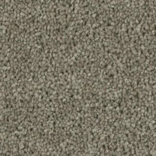 Phenix Carpets Tempt Overwhelm PHENIX