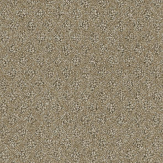 Phenix Carpets Memento Pledge PHENIX