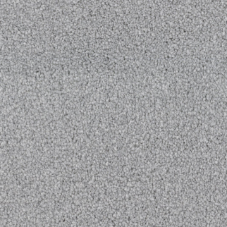 Dixie Home Spring Break Seagull