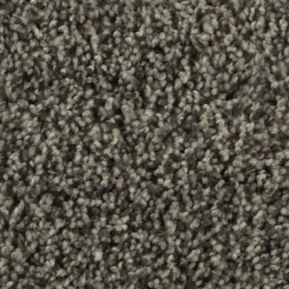 Mohawk Carpet Artistic Allure Amazon Star Mohawk