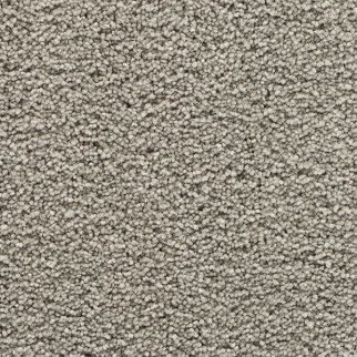 Mohawk Carpet Bold Choice Dovetail Mohawk