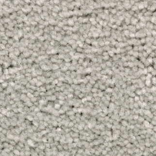 Mohawk Carpet Treasure Valley Drizzling Mist Mohawk