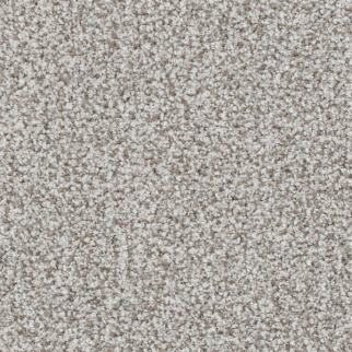 Masland Carpets St Augustine Sure Masland