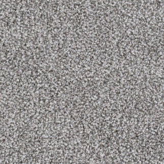 Masland Carpets St Augustine Obstinate Masland