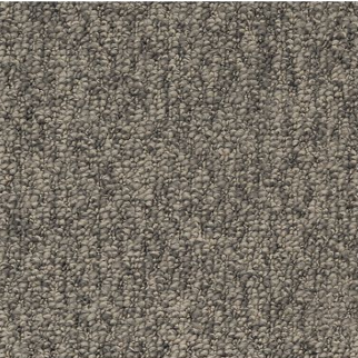 Mohawk Carpet Pristine Sensation Notion Mohawk