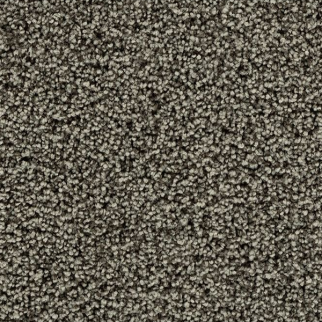 Godfrey Hirst Carpets Stylish Connection Oyster GODFREY HIRST