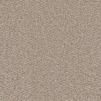 Dreamweaver Carpet Cape Cod Ash DREAMWEAVER