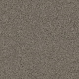 Dreamweaver Carpet Exceptional II Castle DREAMWEAVER