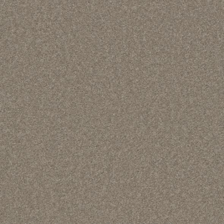 Phenix Carpets Heavenly Pleasing PHENIX