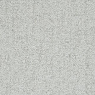 Dixie Home Authentic Legitimate