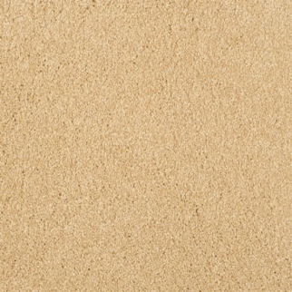 Masland Carpets Miami Ambiance Masland