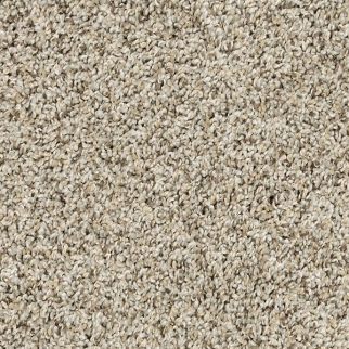 Mohawk Carpet Raise The Woof I Oyster Mohawk