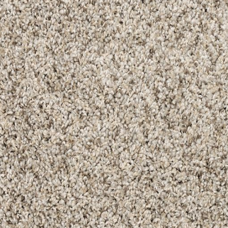 Mohawk Carpet Purrsonality III Oyster Mohawk