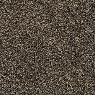 Mohawk Carpet Bold Choice Cathedral Mohawk