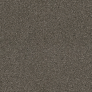 Dreamweaver Carpet Exceptional II Riverbed DREAMWEAVER