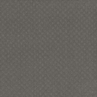 Dreamweaver Carpet First Step Bayside DREAMWEAVER