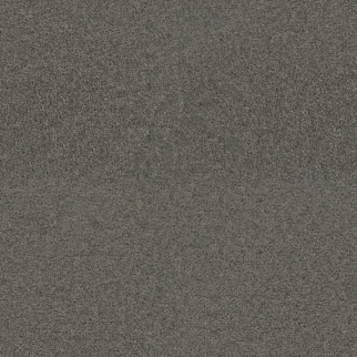 Dreamweaver Carpet Exceptional II Bayside DREAMWEAVER