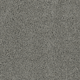 Dreamweaver Carpet Tracker Bayside DREAMWEAVER