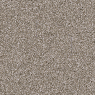 Dixie Home Shepherd Yorkie