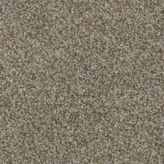 Phenix Carpets Bari Amphitheater PHENIX