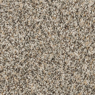 Mohawk Carpet Purrsonality II Highway Mohawk