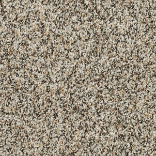 Mohawk Carpet Raise The Woof II Highway Mohawk