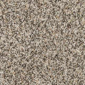 Mohawk Carpet Canine Chic Highway Mohawk