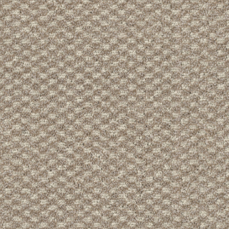 Dixie Home Calm Peaceful