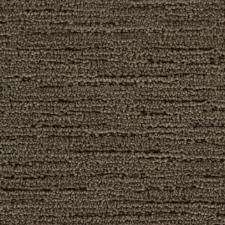 Mohawk Carpet Charming Approach Winter Bird Mohawk