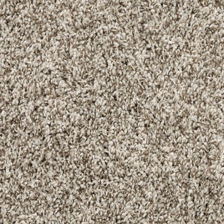 Mohawk Carpet Purrsonality II Pebble Trail Mohawk