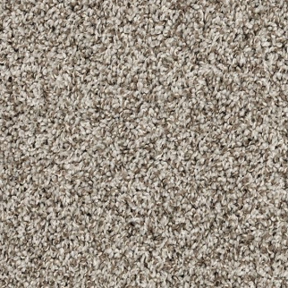 Mohawk Carpet Raise The Woof II Pebble Trail Mohawk
