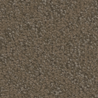 Tarkett Home Carpets Cheshire Whimsical LEXMARK