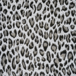 Kane Carpet Basilisk Natural History KANE