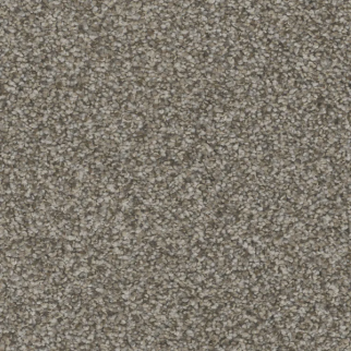 Phenix Carpets Bari Sea Port PHENIX