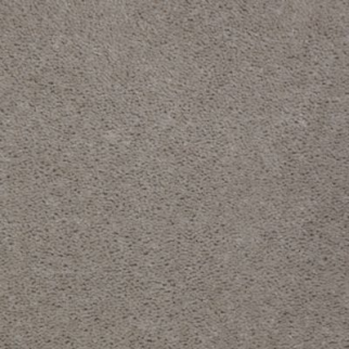 Aladdin Carpet Accelerator Plus Silver Streak MISSING