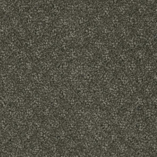 Phenix Carpets Memento Gesture PHENIX