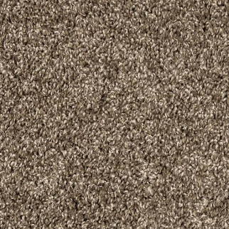 Mohawk Carpet Purrsonality I Legend Mohawk