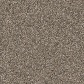 Dixie Home Shepherd Greyhound