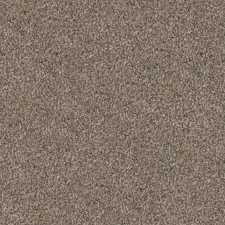 Dixie Home Pyrenees Greyhound