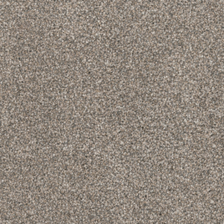 Dixie Home Husky Greyhound