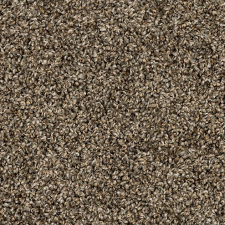 Mohawk Carpet Purrsonality II Nightshade Mohawk