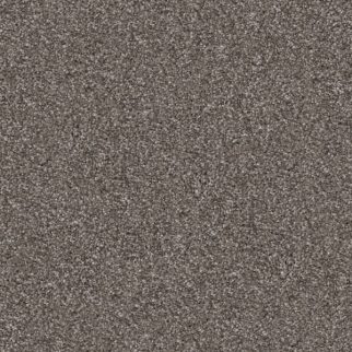 Dixie Home Labrador Frenchie