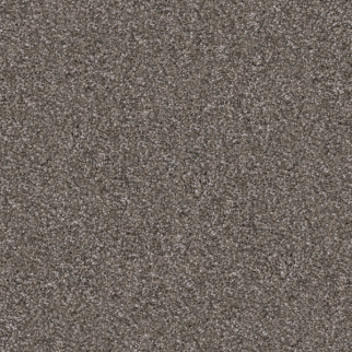 Dixie Home Shepherd Frenchie