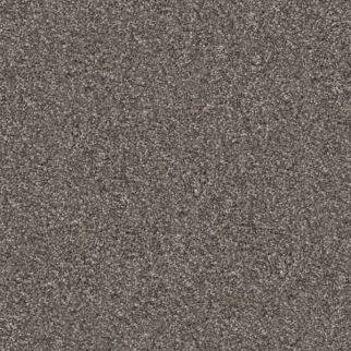 Dixie Home Pyrenees Frenchie