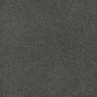 Dreamweaver Carpet Hammond Creek II Electron DREAMWEAVER